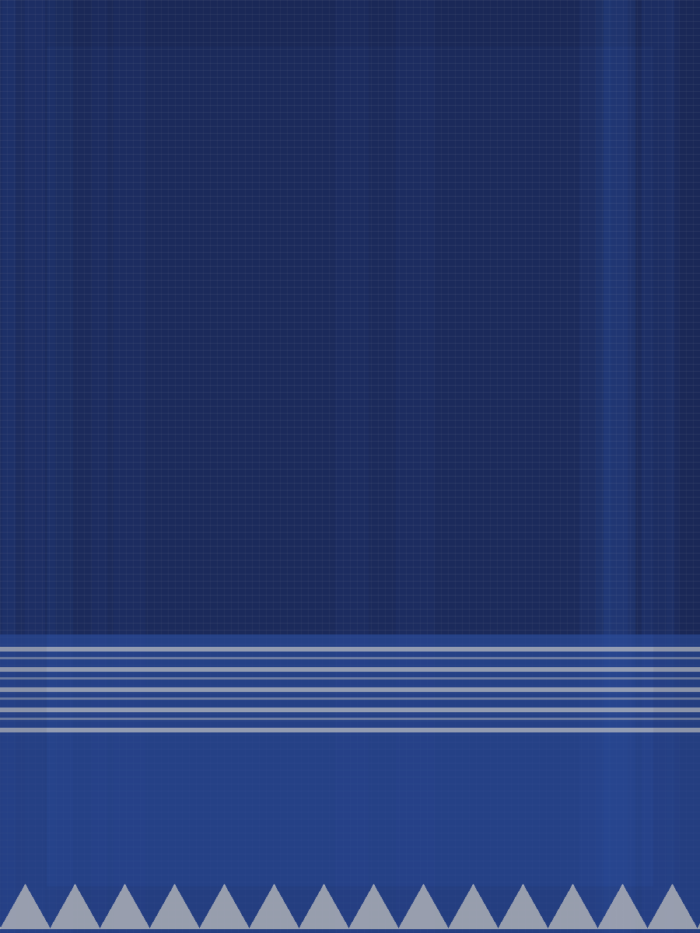 Sharanya Georgette Palazzo Set